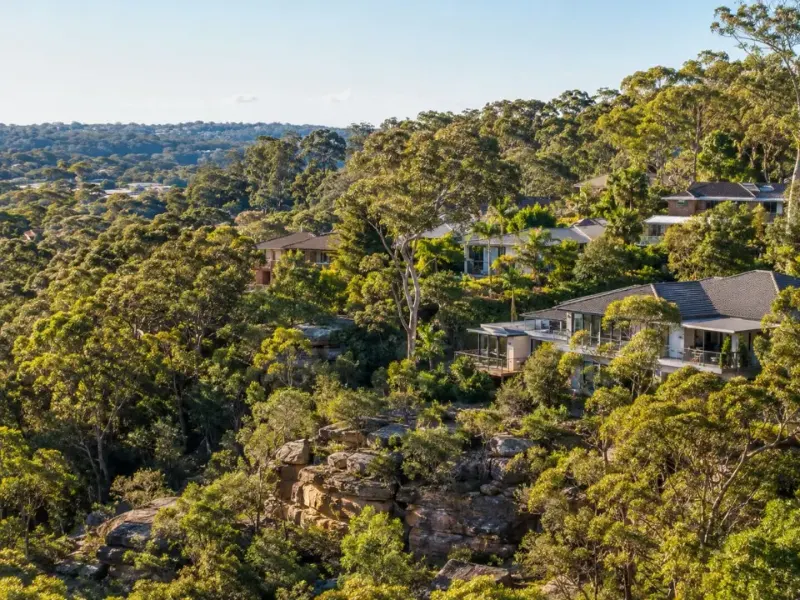 Homes set against native bushland canopy in Belrose