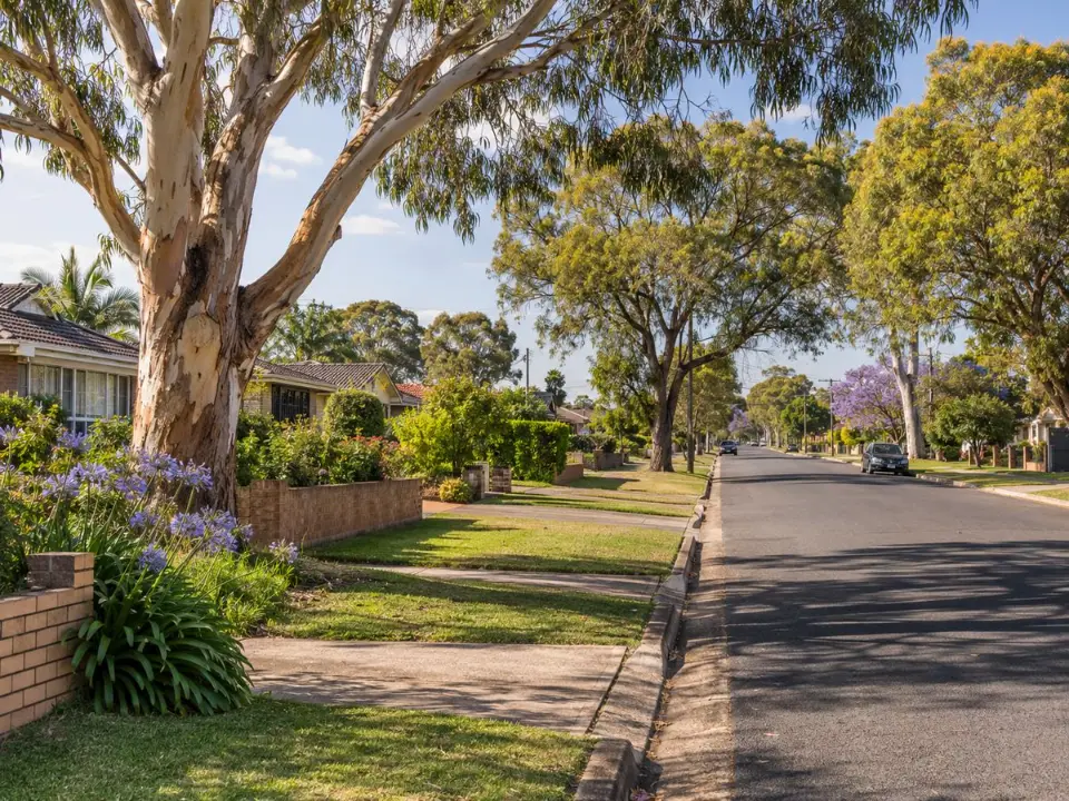 Mature garden and street trees in an established Blacktown suburb