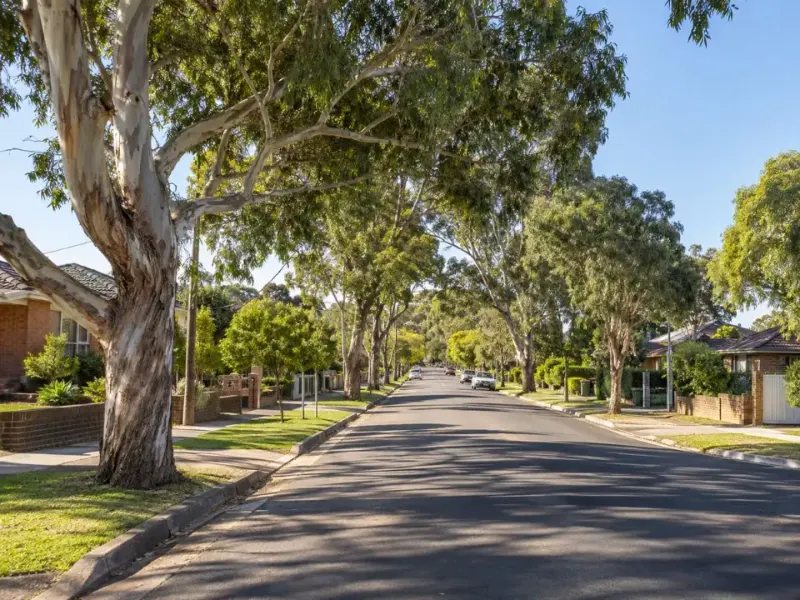 Established suburban street with mature trees in Revesby