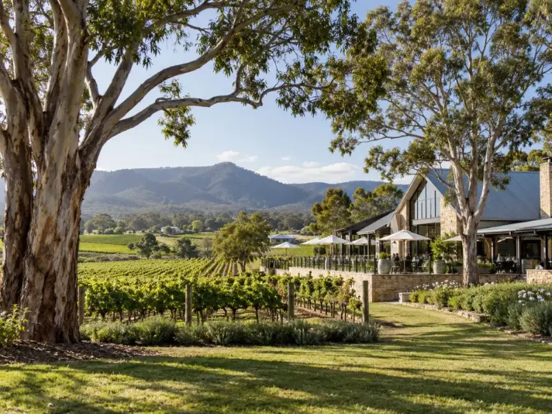 Established trees beside a winery cellar door development in the Hunter Valley