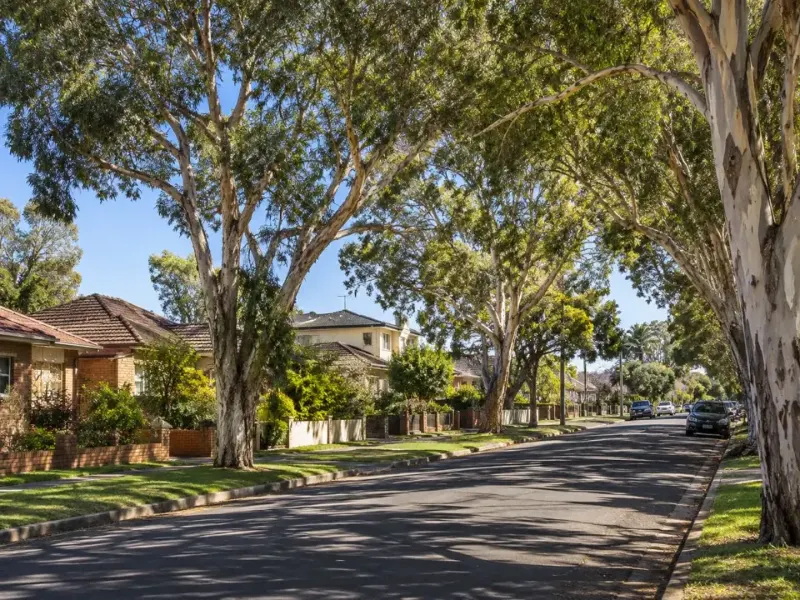Established street trees in a Cumberland residential neighbourhood
