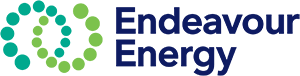 endeavour energy