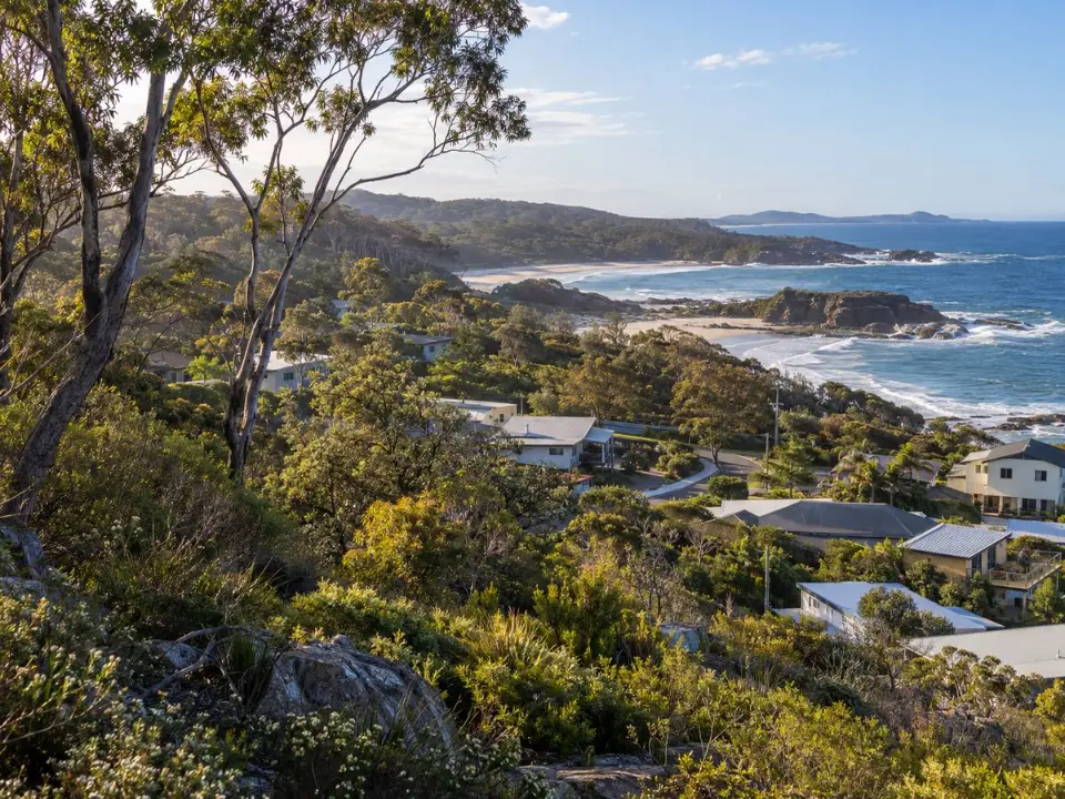 Homes bordered by coastal forest near Moruya Heads