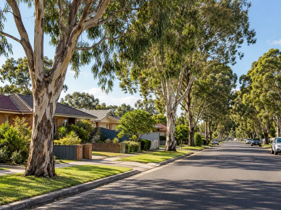 Street trees along a residential road in Fairfield