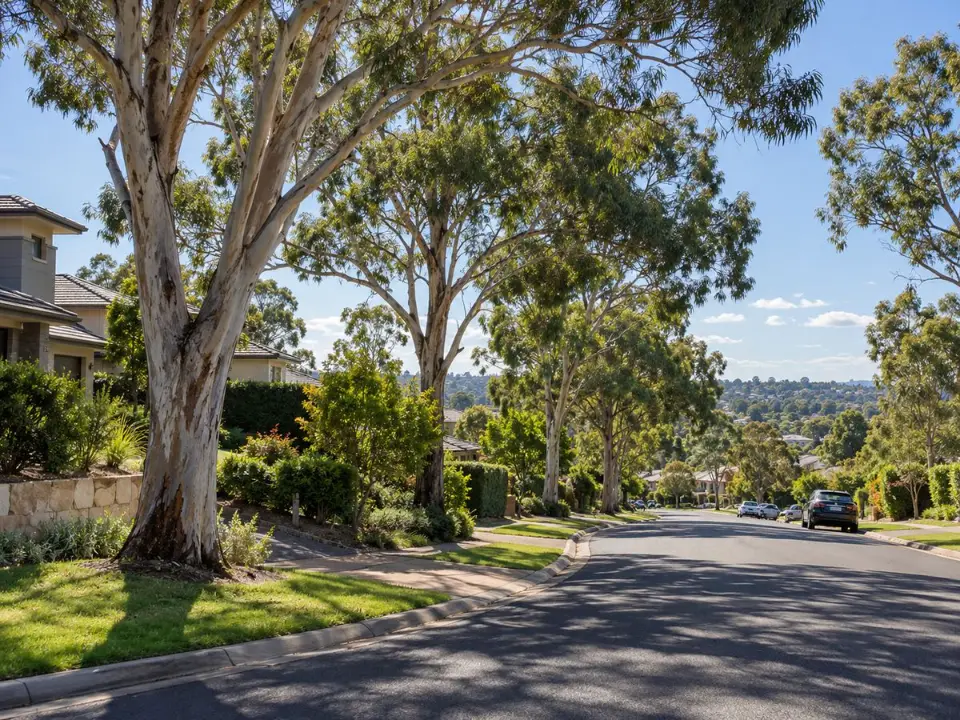 Mature trees on a residential street in Castle Hill, The Hills Shire