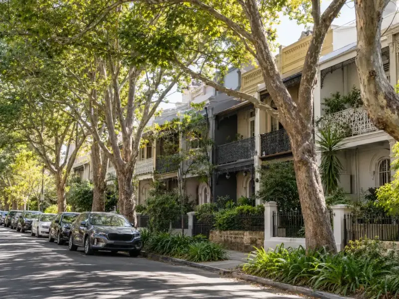 Street trees along a row of Inner West terrace homes