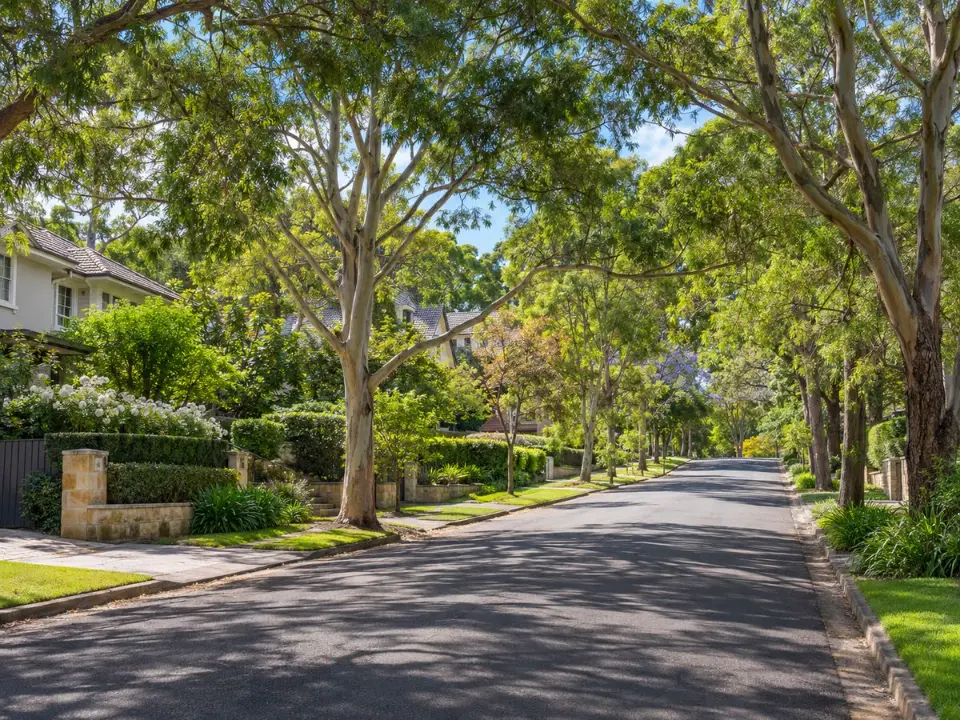 Tree-lined residential street in Wahroonga, Ku-ring-gai