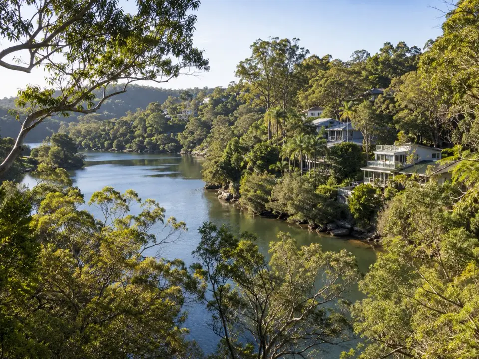 Homes beside bushland along the Lane Cove River