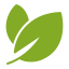 tree leaf