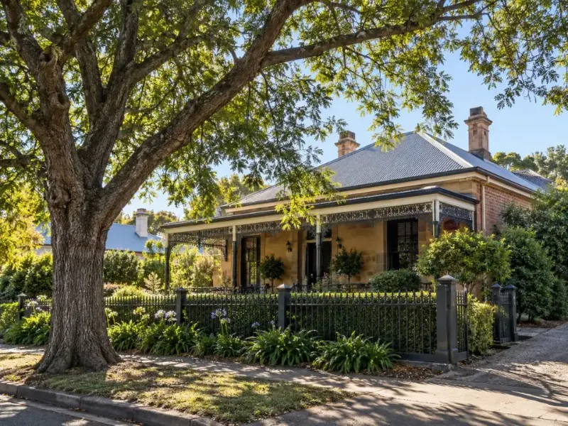 Mature tree in the garden of a heritage home in East Maitland