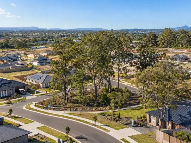 Retained trees on a new residential subdivision in Maitland