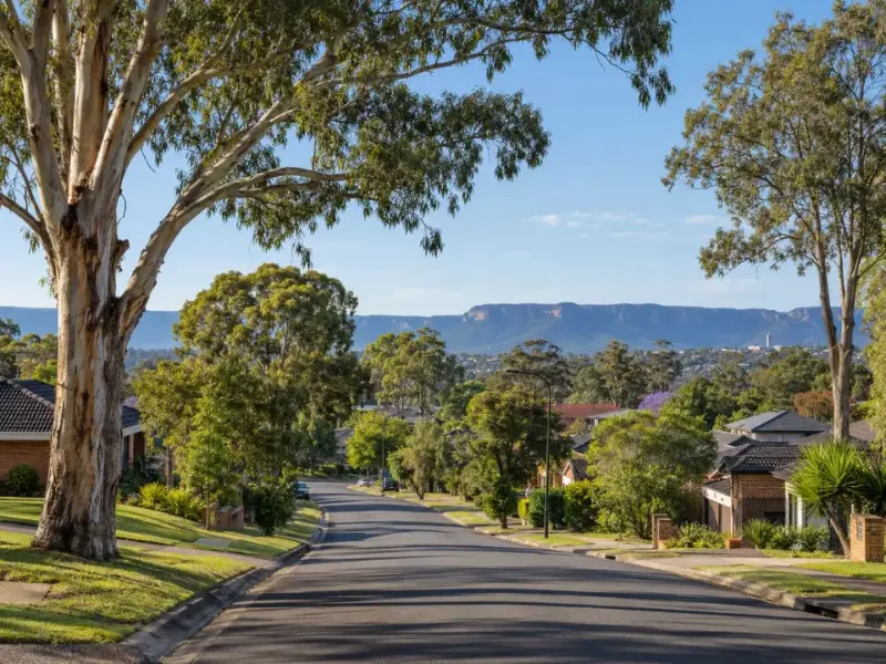 Mature eucalypts on a Penrith residential street with the Blue Mountains escarpment behind