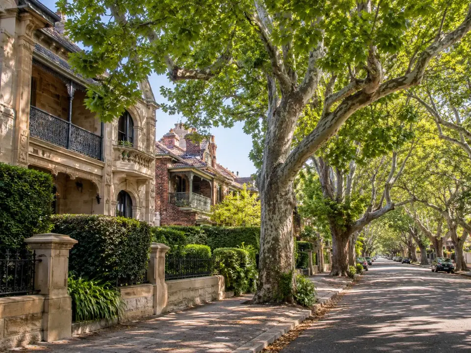 Heritage homes and mature street trees in Randwick