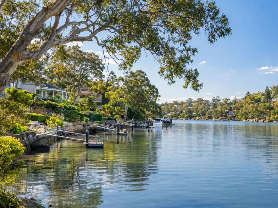 Riverside homes and mature trees along the Parramatta River at Putney