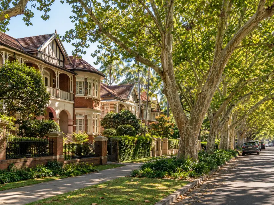 Heritage homes beneath mature canopy trees in Strathfield