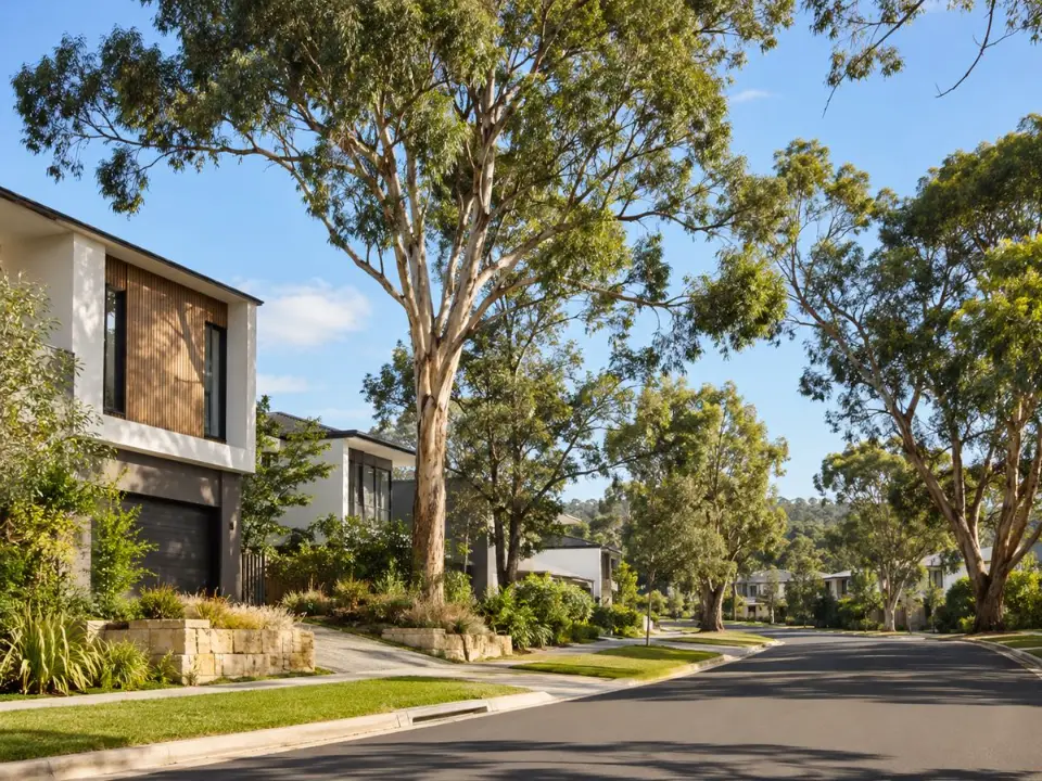 Established trees retained alongside new homes in a Sydney suburb