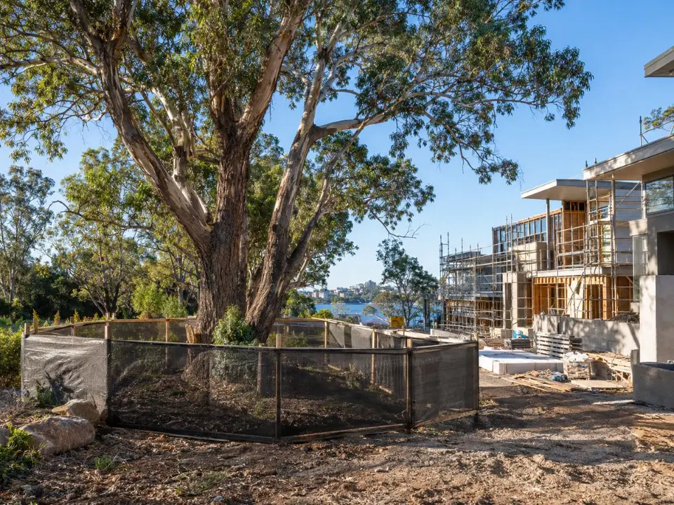 Retained trees protected beside a residential development under construction in Sydney