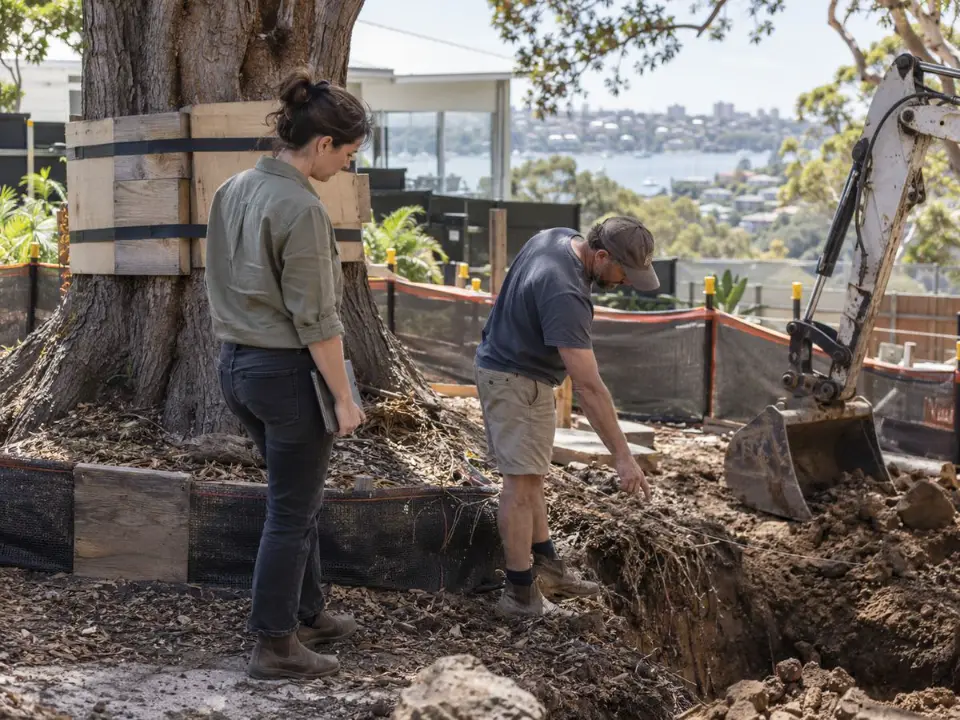 Arborist supervising excavation within a Tree Protection Zone at a construction hold point
