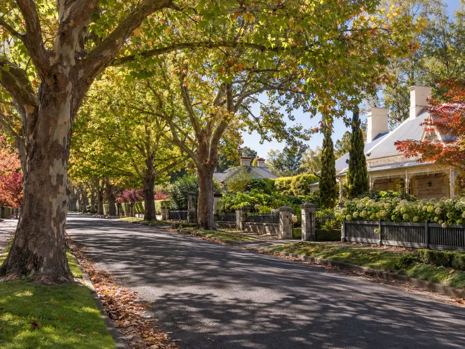 Established trees along a heritage street in Bowral